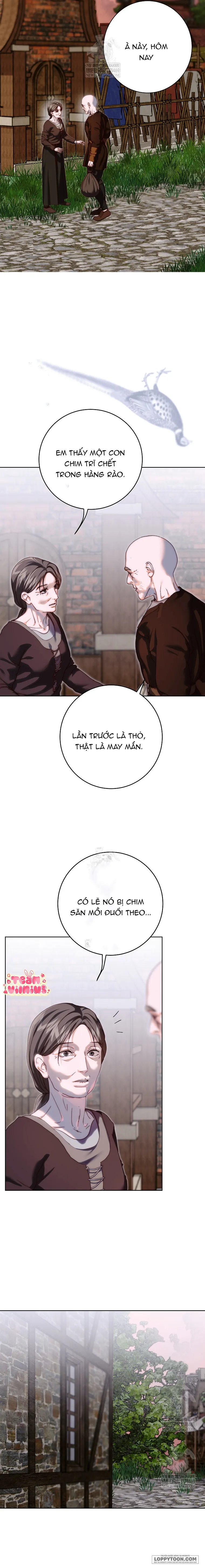 Mảnh Vỡ Của Đôi Giày Thủy Tinh - Chap 32 - Trang 12
