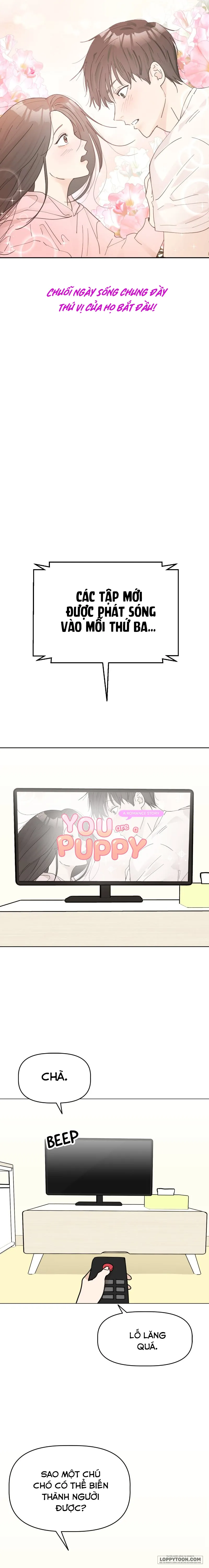 Maru là cún cưng của tôi - Chap 1 - Trang 2