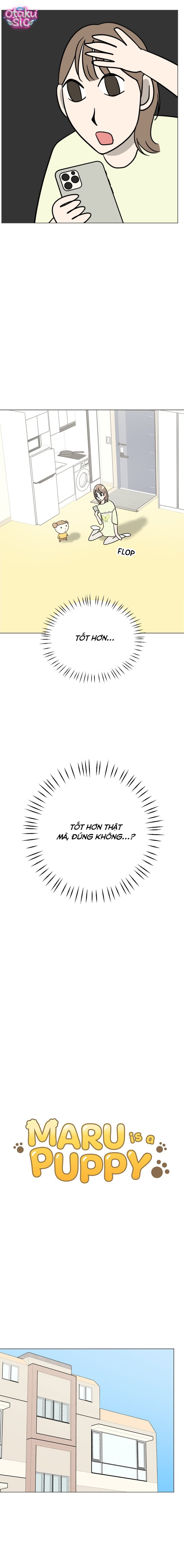 Maru là cún cưng của tôi - Chap 13