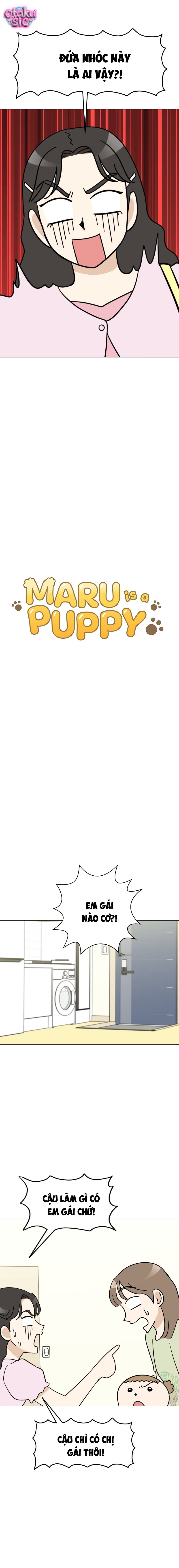 Maru là cún cưng của tôi - Chap 14