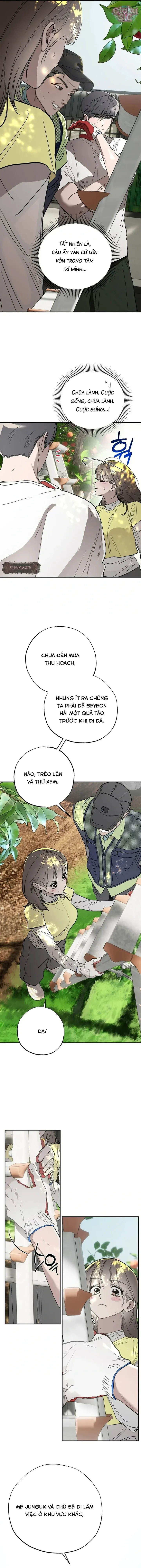 Mật Ngọt Ở Vườn Cây Ăn Quả - Chap 10 - Trang 2