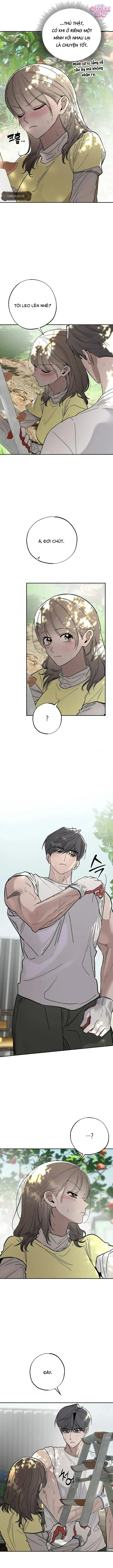 Mật Ngọt Ở Vườn Cây Ăn Quả - Chap 10 - Trang 5