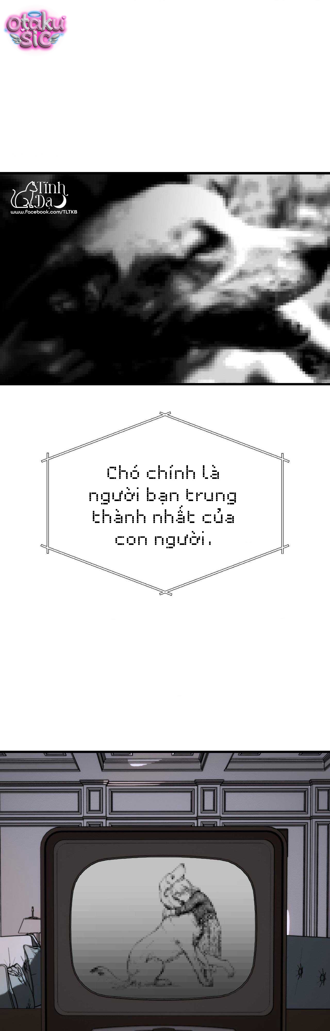 Melt - Phước Lành - Chap 40 - Trang 14