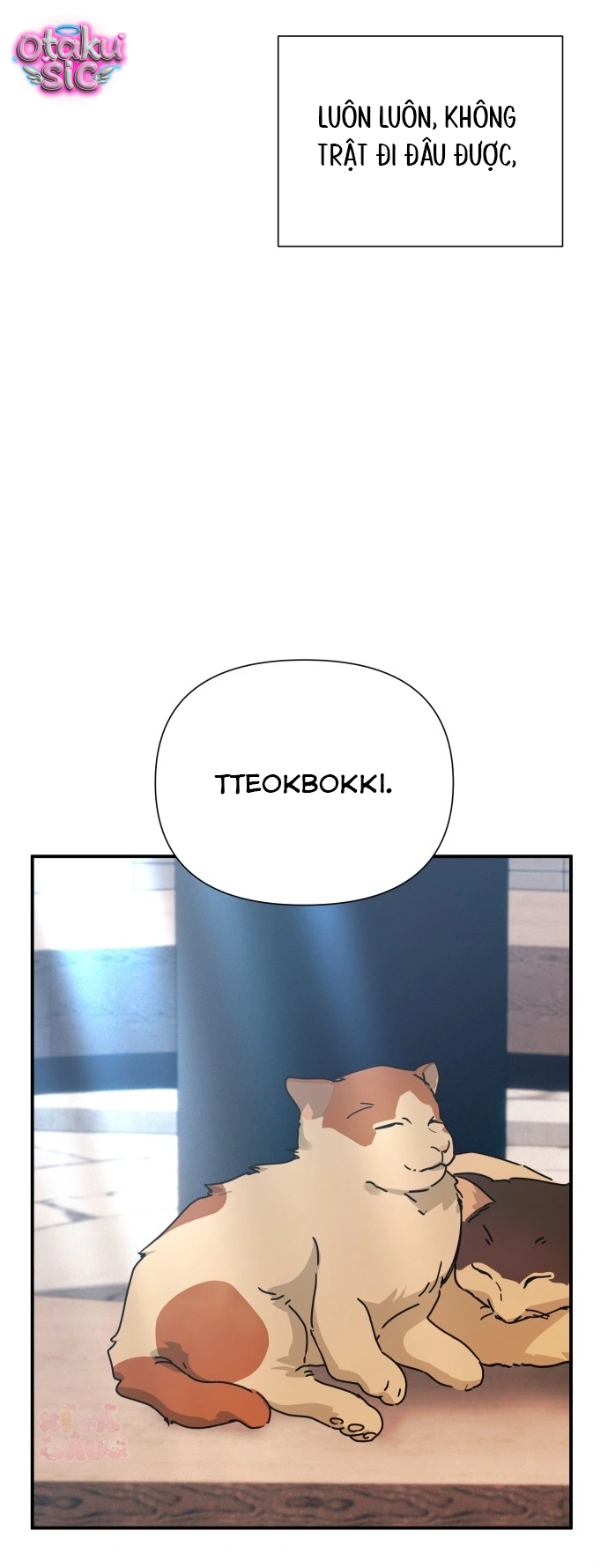 Mia Đã Trở Lại - Chap 26