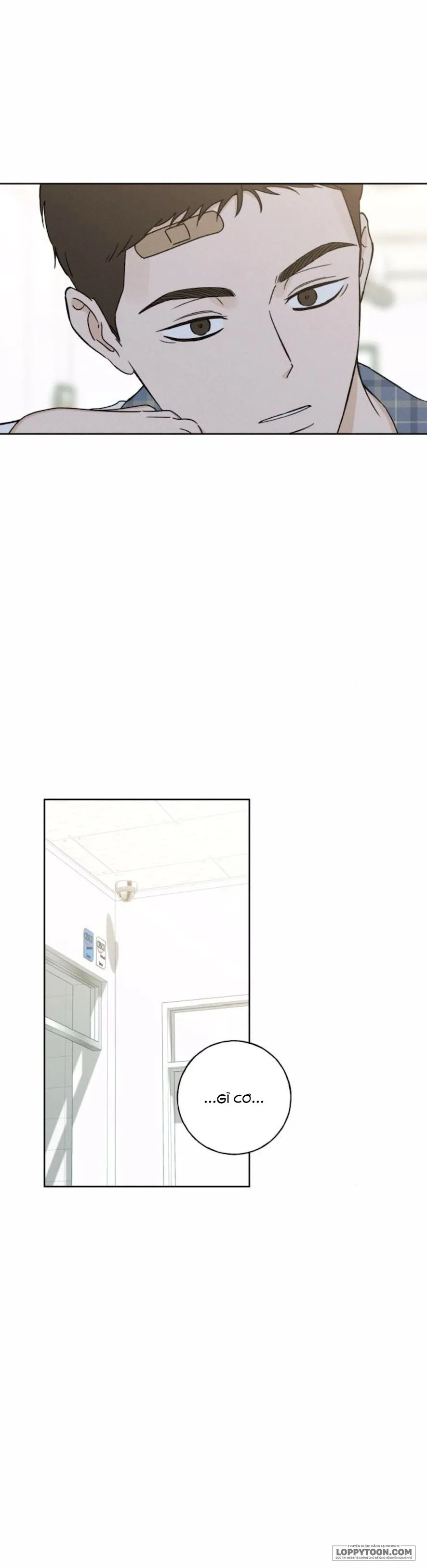 Miyeon - Chap 20 - Trang 5