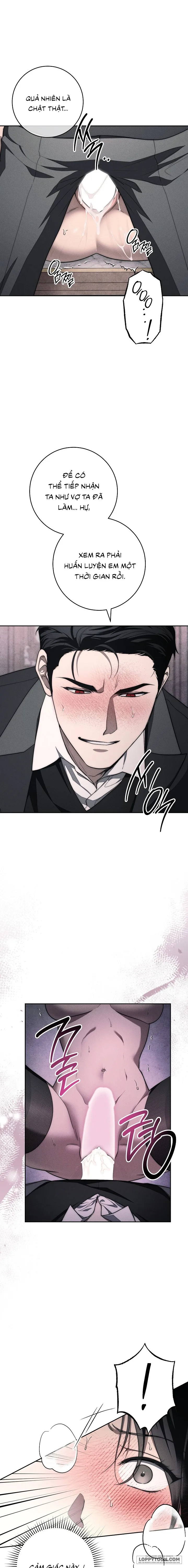 Mộ Thiên Nga - Chap 11 - 🔞🔞🔞 - Trang 11