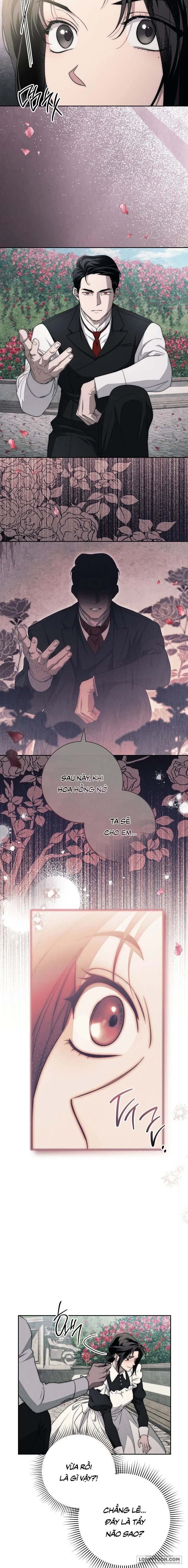 Mộ Thiên Nga - Chap 17 - 🔞🔞🔞 - Trang 14