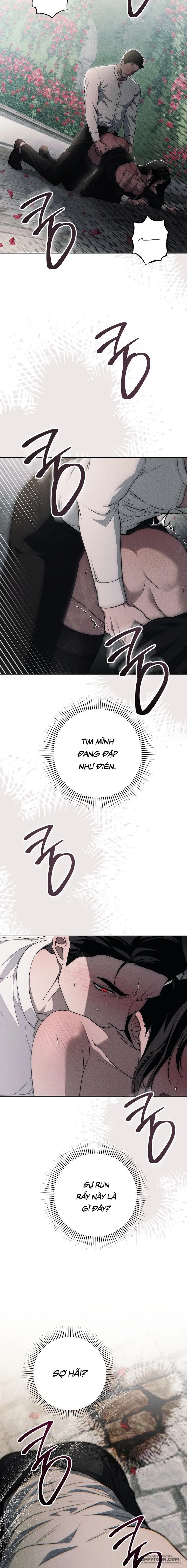Mộ Thiên Nga - Chap 17 - 🔞🔞🔞 - Trang 21