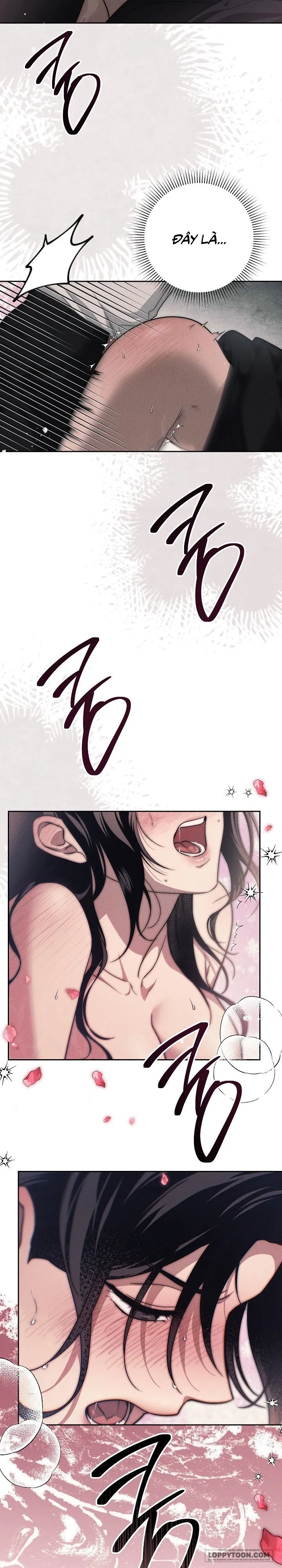 Mộ Thiên Nga - Chap 17 - 🔞🔞🔞 - Trang 23