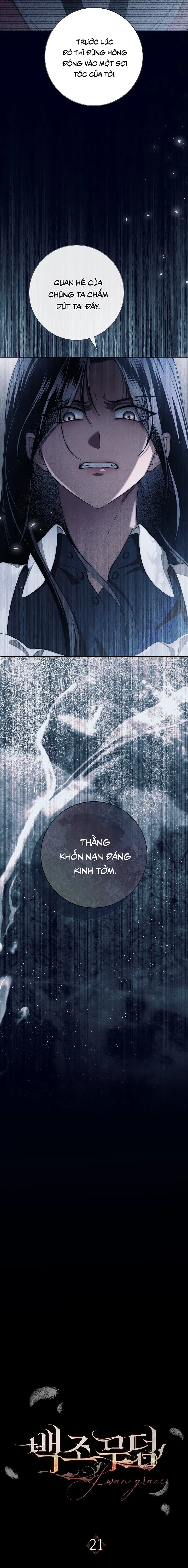 Mộ Thiên Nga - Chap 21 - Trang 1
