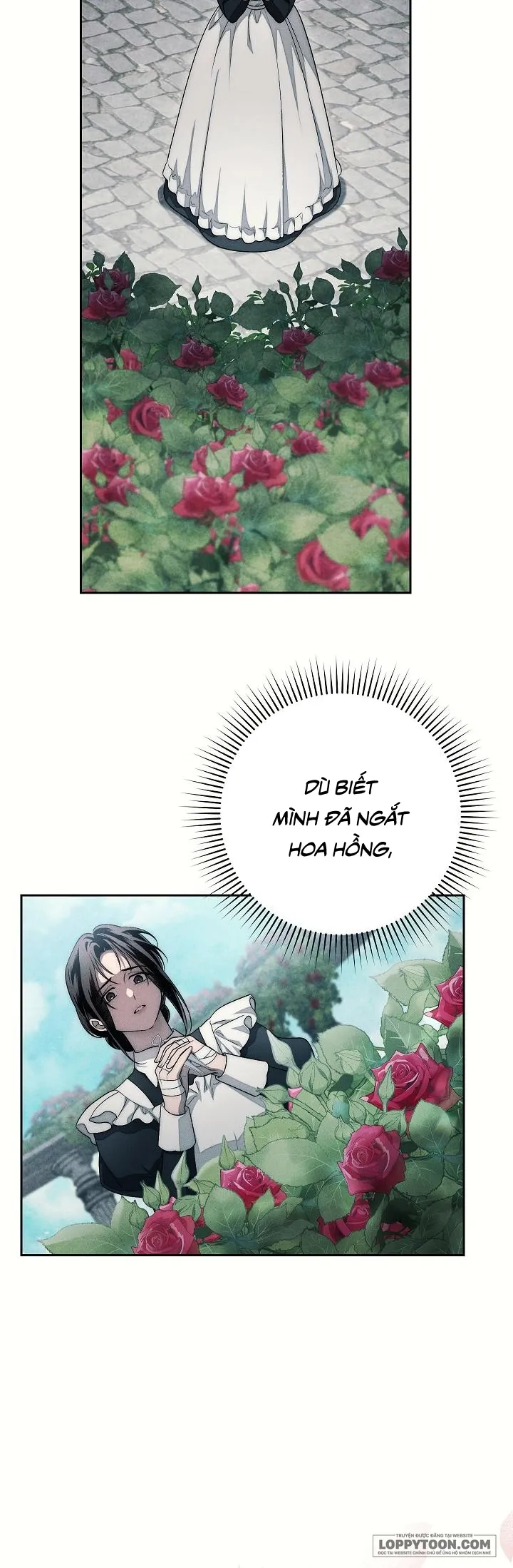 Mộ Thiên Nga - Chap 22 - Trang 23