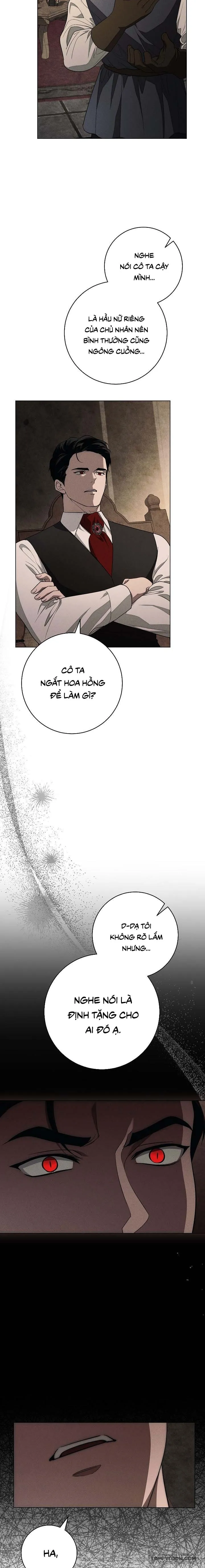 Mộ Thiên Nga - Chap 23 - Trang 11