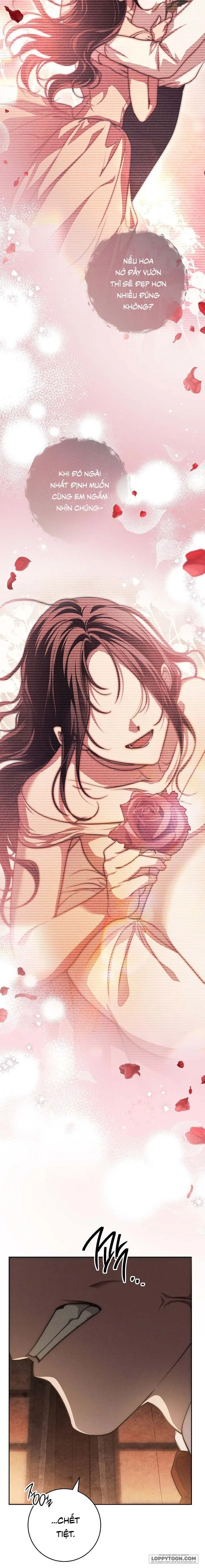 Mộ Thiên Nga - Chap 24 - Trang 19