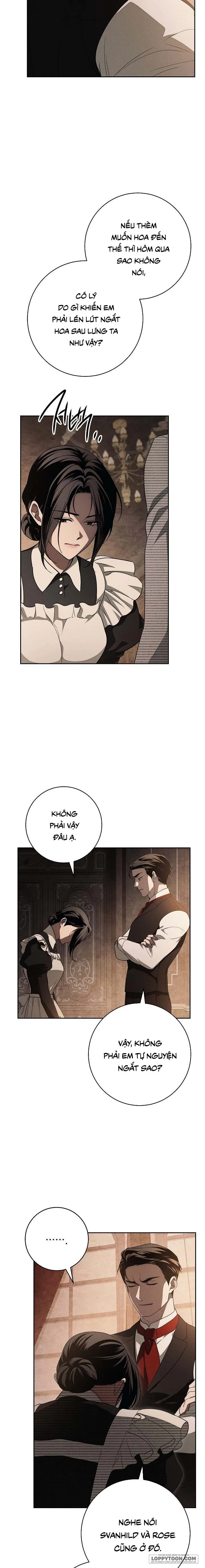 Mộ Thiên Nga - Chap 24 - Trang 5