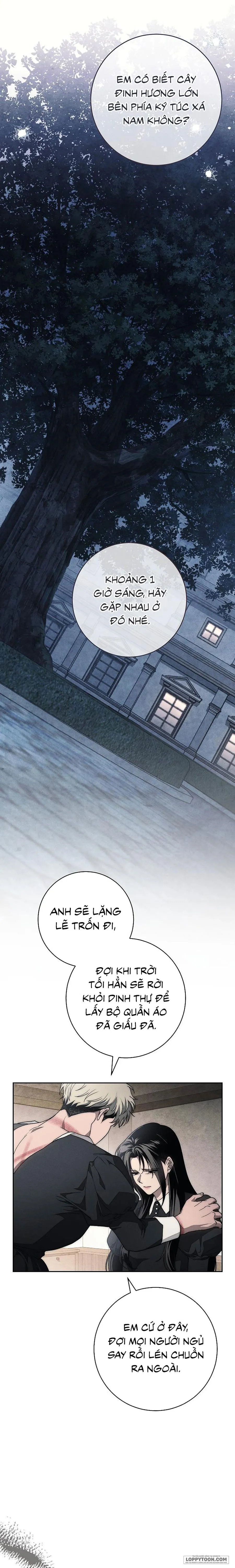 Mộ Thiên Nga - Chap 37 - Trang 15