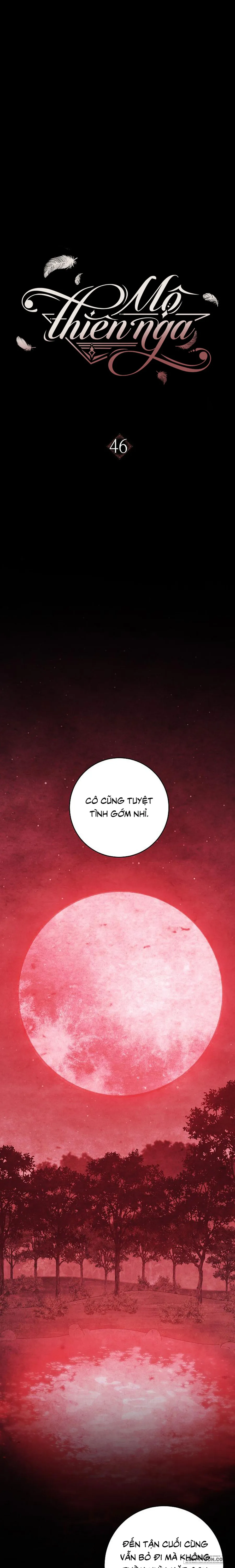 Mộ Thiên Nga - Chap 46