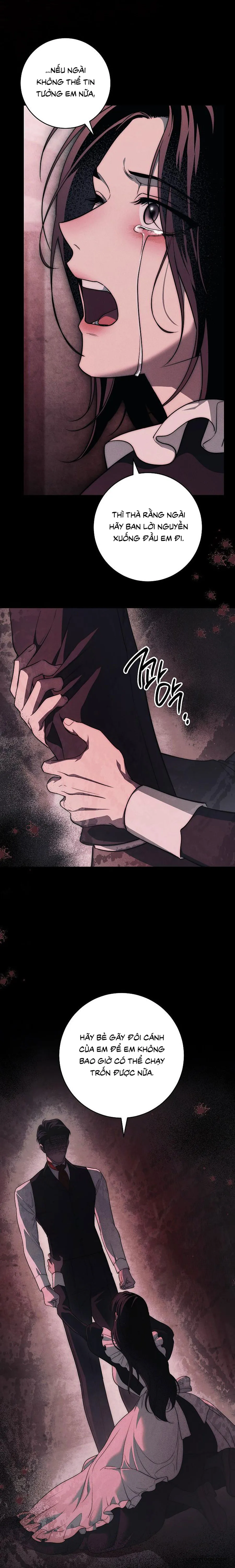 Mộ Thiên Nga - Chap 47