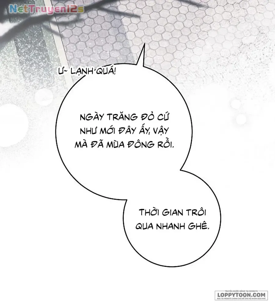 Mộ Thiên Nga - Chap 48