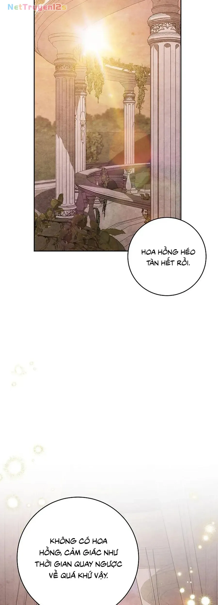 Mộ Thiên Nga - Chap 48