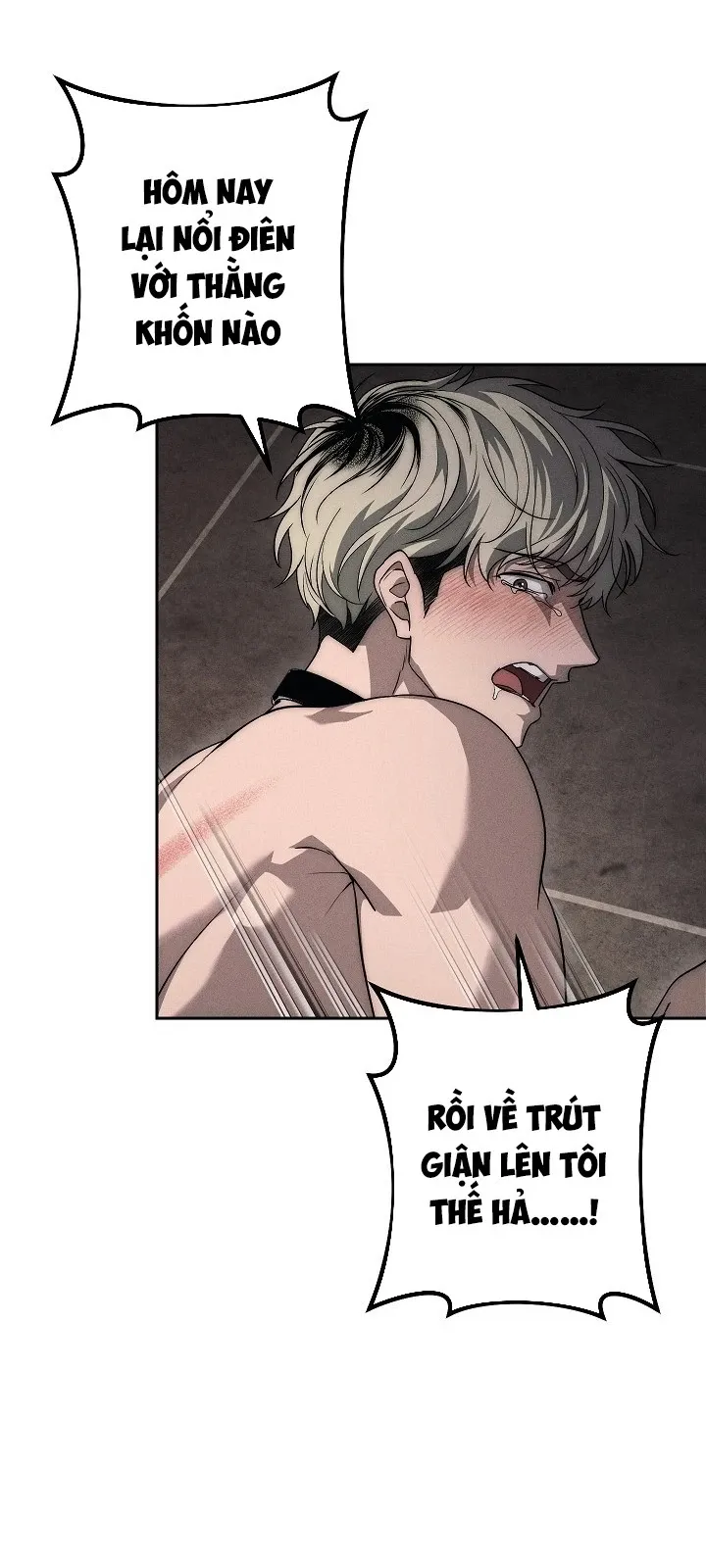 Mộ Thiên Nga - Chap 52