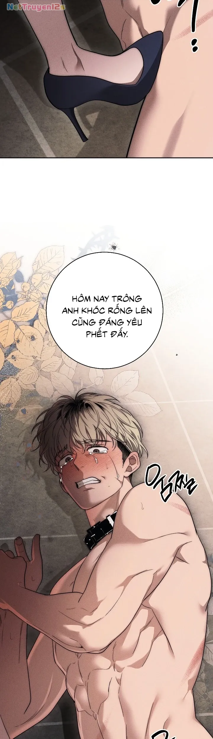 Mộ Thiên Nga - Chap 52