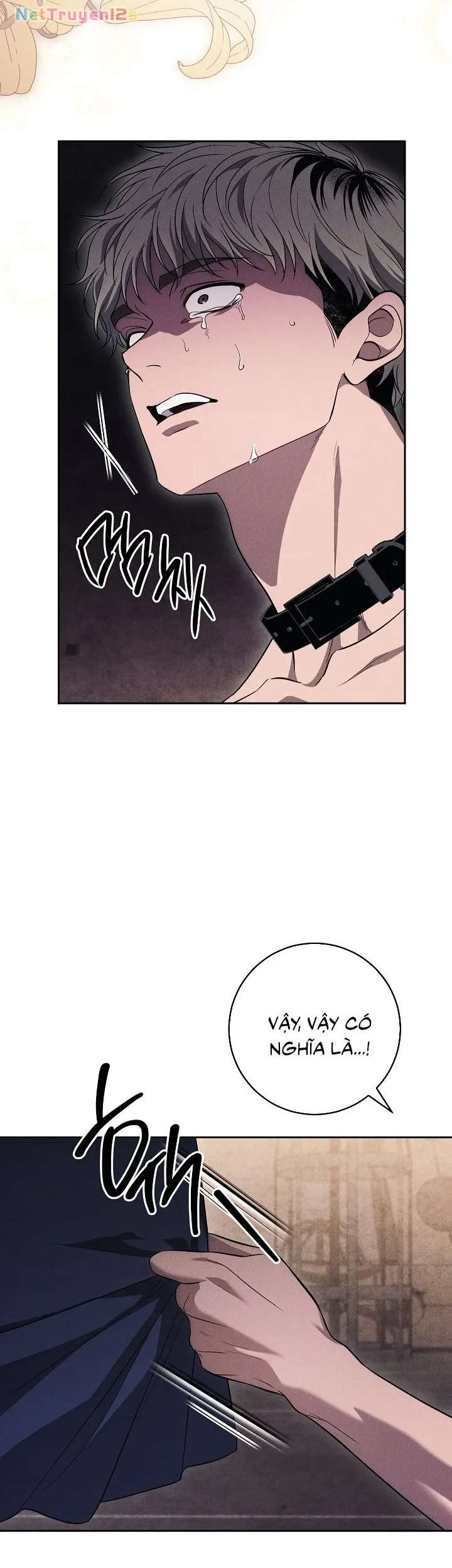 Mộ Thiên Nga - Chap 52
