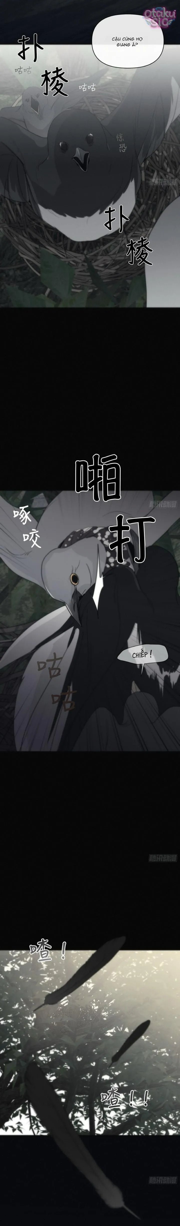Mồi Nhử - Chap 12 - Trang 17