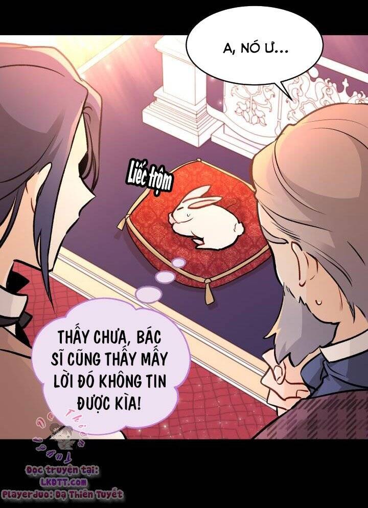 Mối Quan Hệ Cộng Sinh Giữa Báo Đen Và Thỏ Trắng - Chap 2