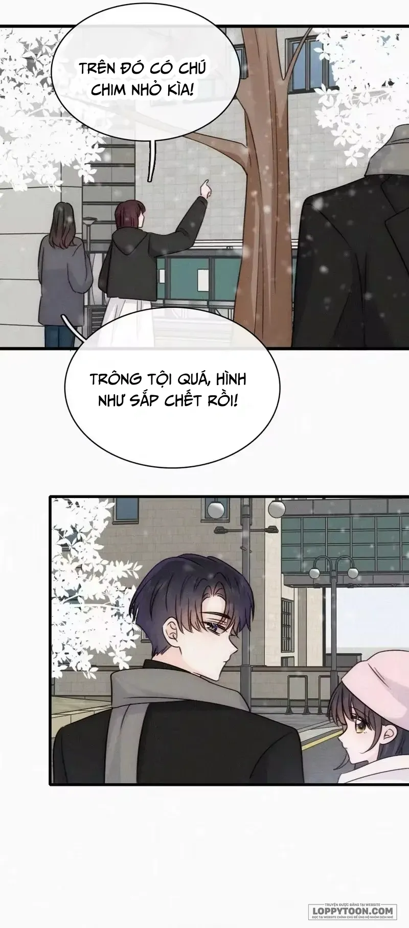 Một Lòng Cưng Chiều - Chap 190 - Trang 12