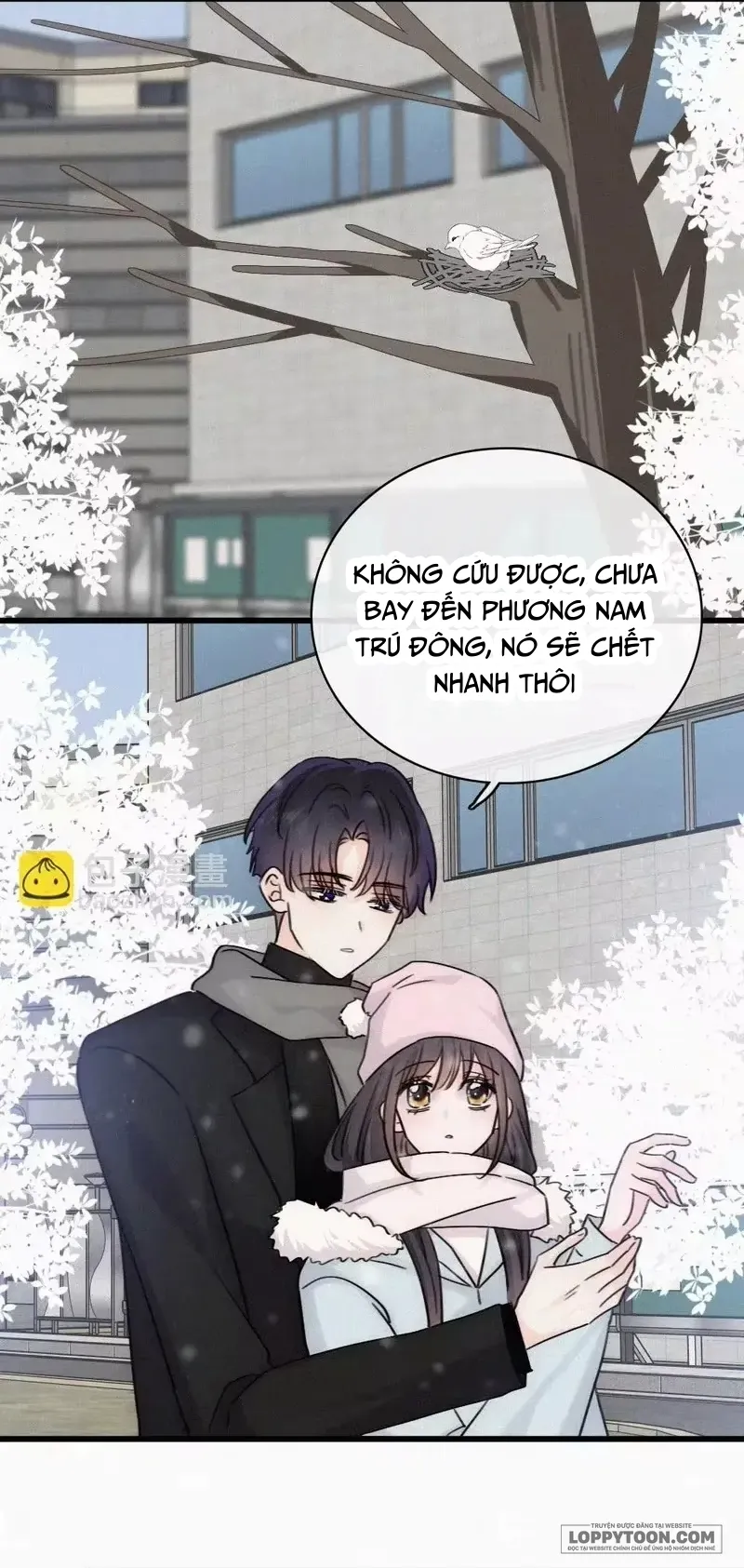 Một Lòng Cưng Chiều - Chap 190 - Trang 7