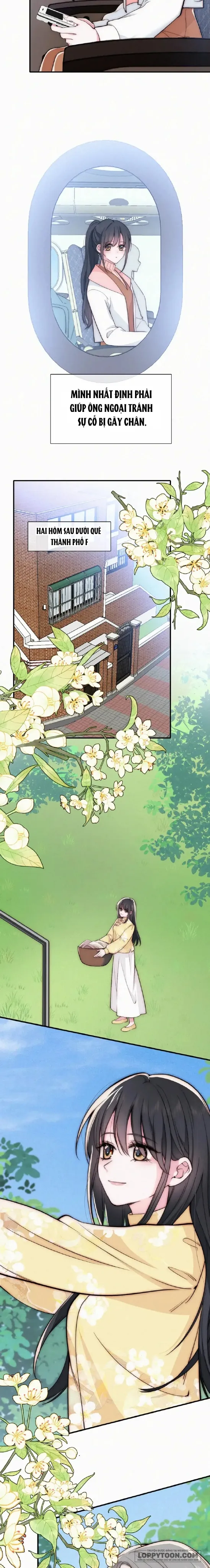 Một Lòng Cưng Chiều - Chap 71 - Trang 3
