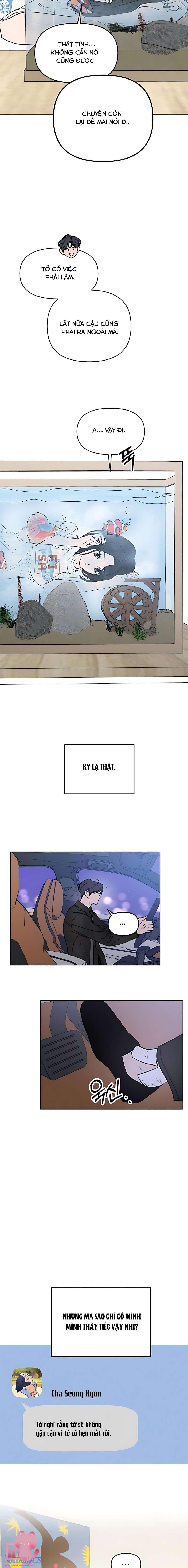 Muốn Bị Lừa Dối - Chap 11 - Trang 17