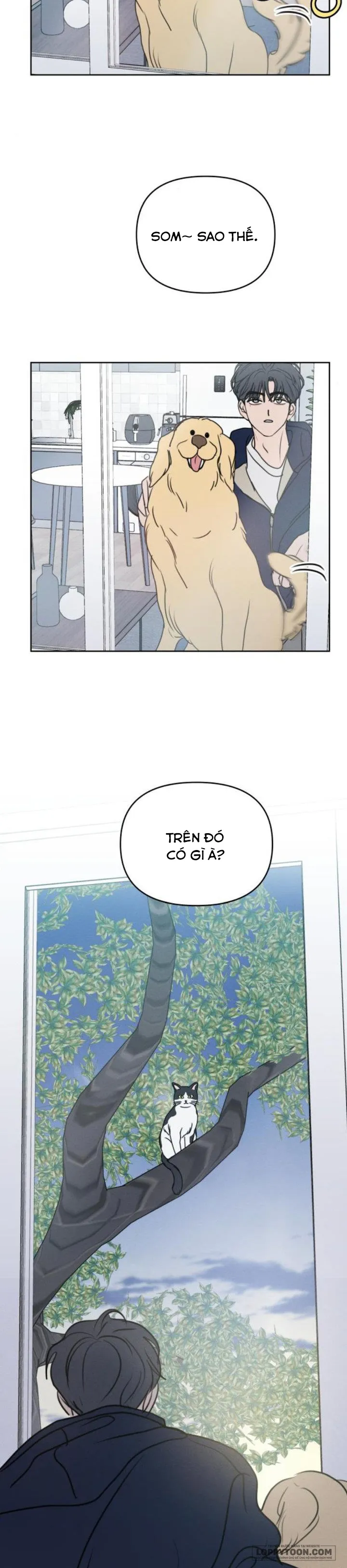 Muốn Được Lừa Dối - Chap 20 - Trang 35