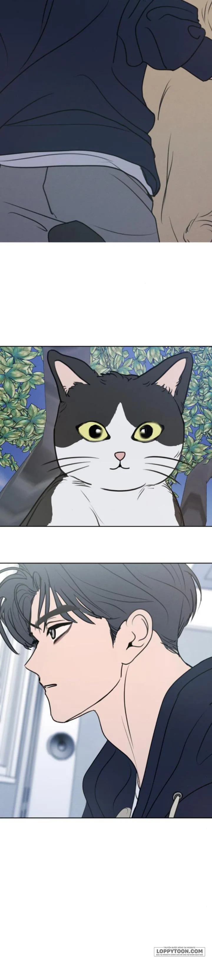 Muốn Được Lừa Dối - Chap 20 - Trang 36