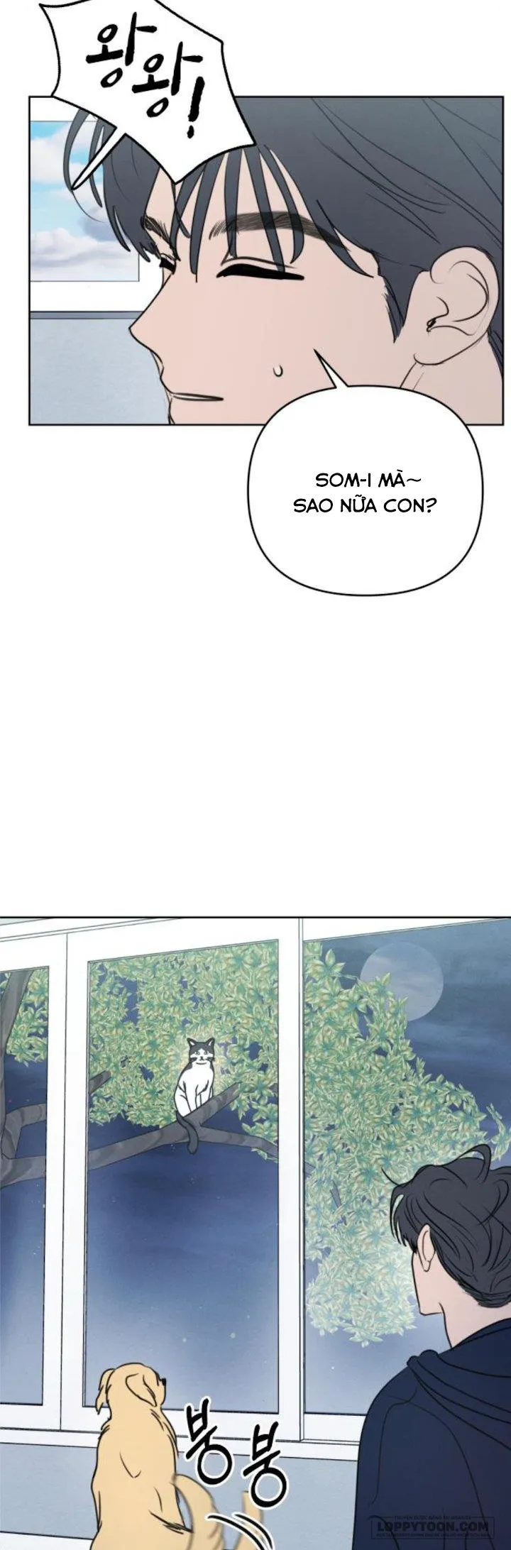 Muốn Được Lừa Dối - Chap 21 - Trang 17