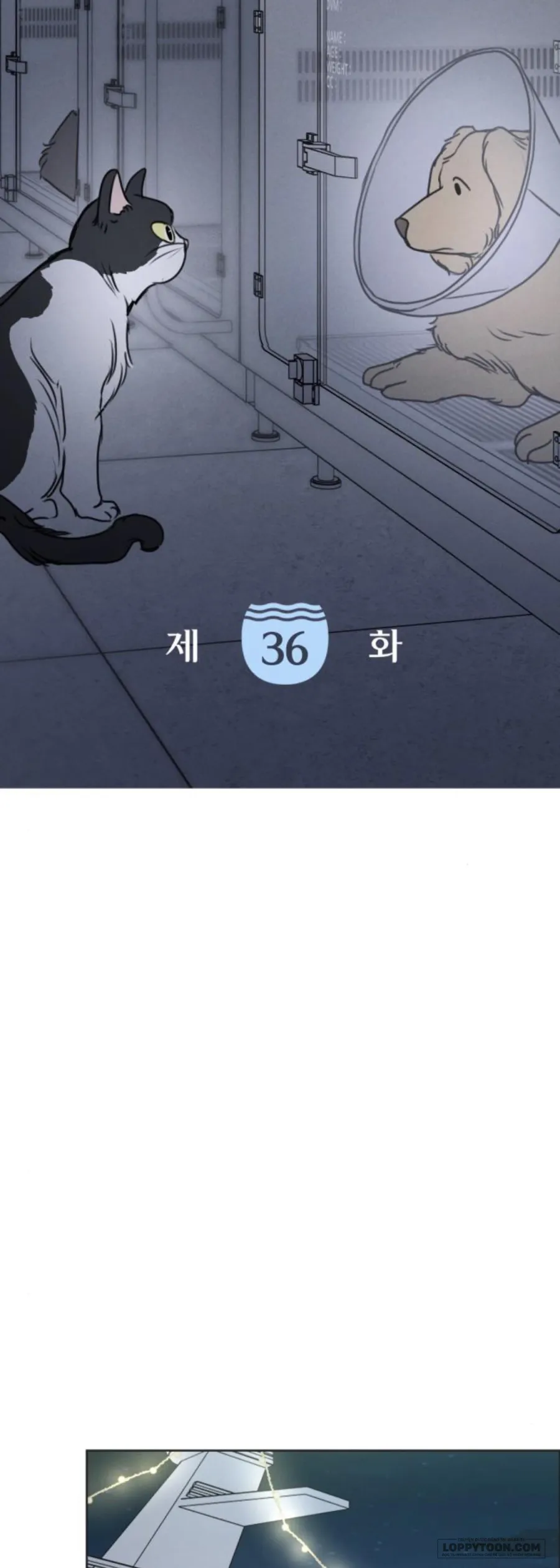 Muốn Được Lừa Dối - Chap 36 - Trang 20