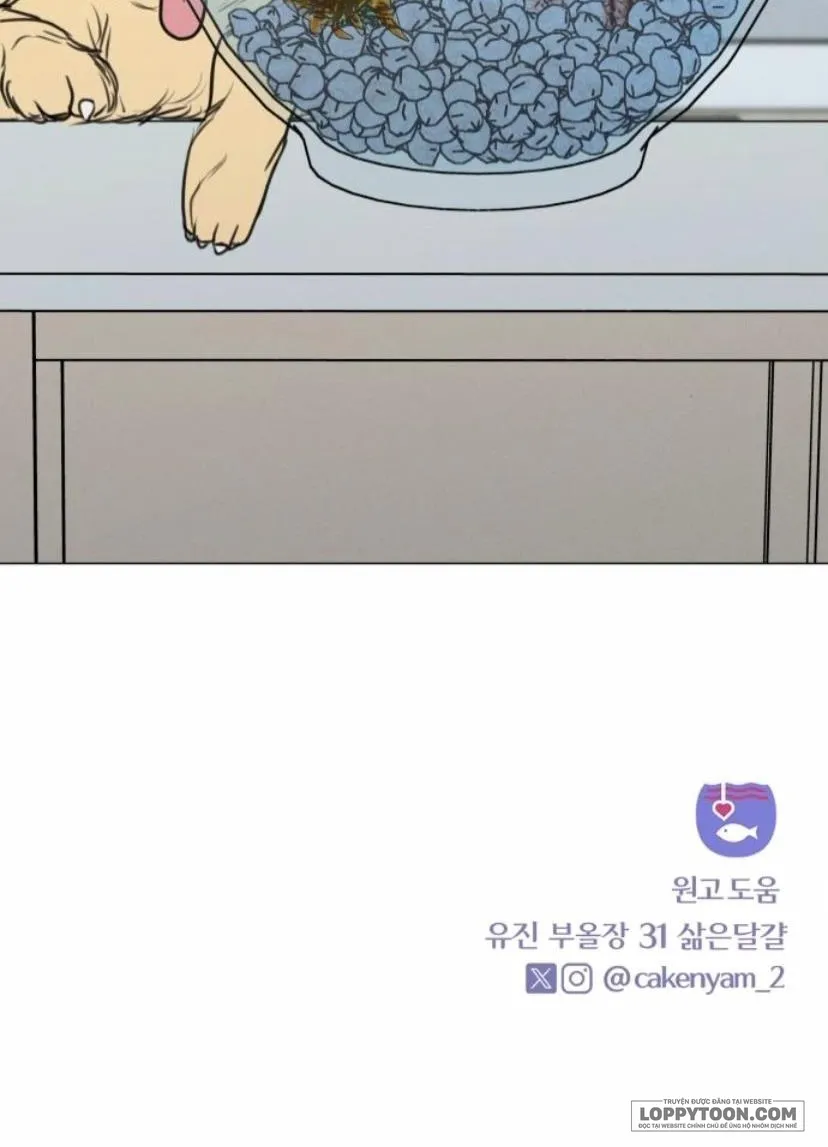 Muốn Được Lừa Dối - Chap 38 - Trang 47
