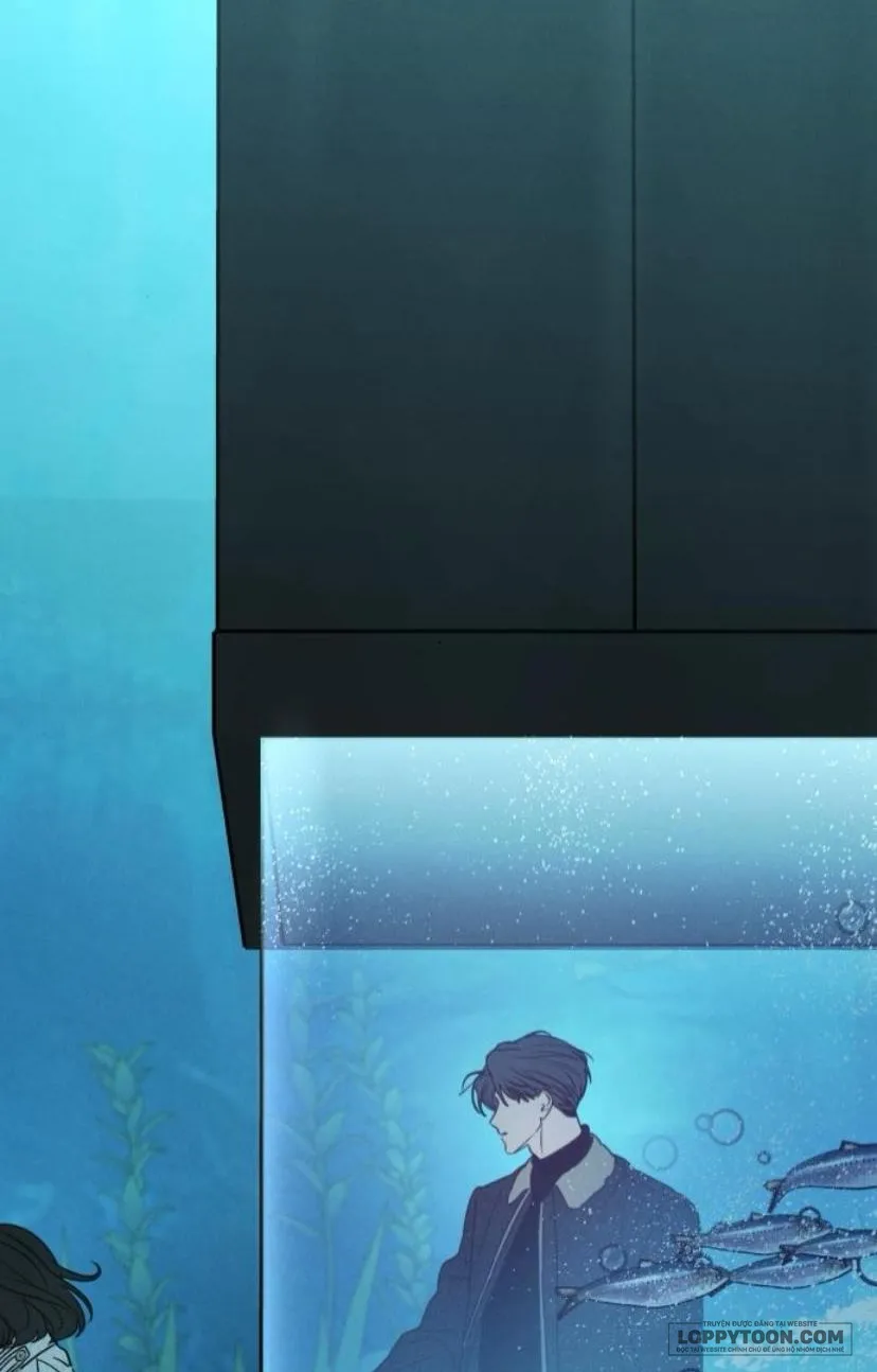 Muốn Được Lừa Dối - Chap 40 - Trang 37