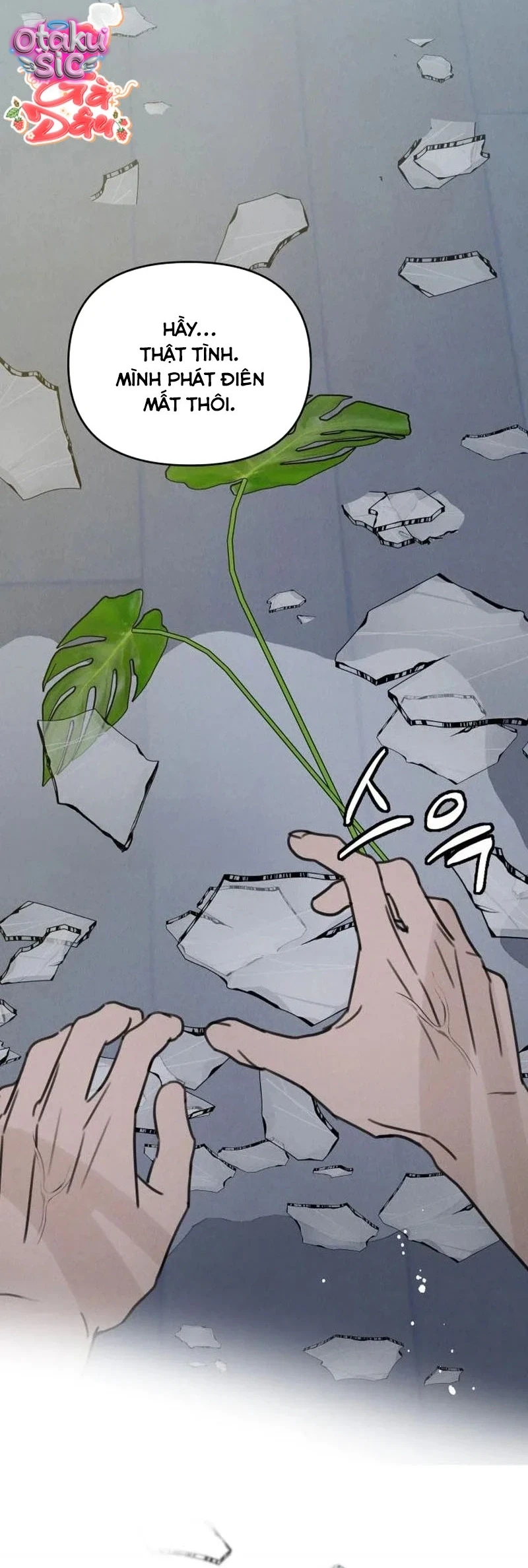 Muốn Được Lừa Dối - Chap 45 - Trang 42