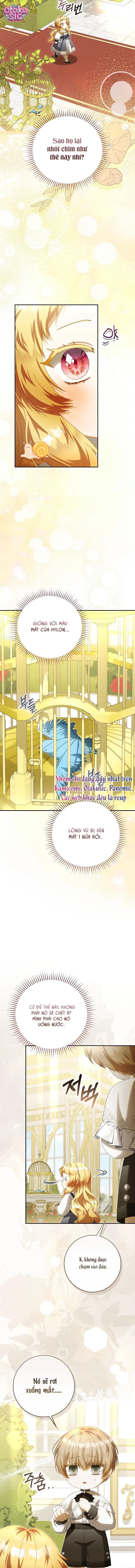 Nàng Tiên Bé Con Là Nhân Vật Phản Diện - Chap 68
