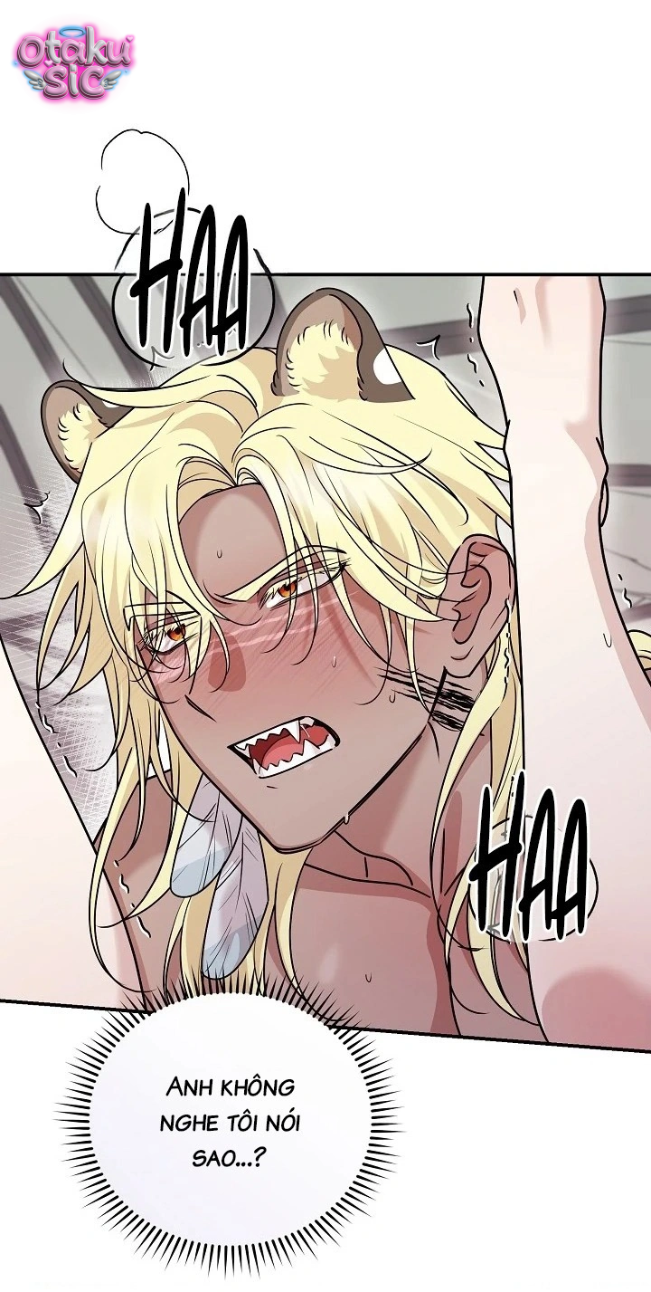 Nè Boss, Ngài Đang Phát Tình À? - Chap 10