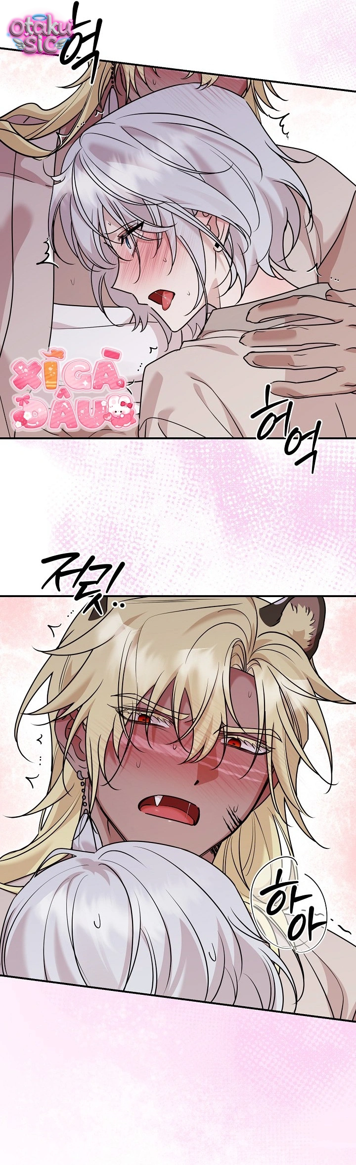 Nè Boss, Ngài Đang Phát Tình À? - Chap 14