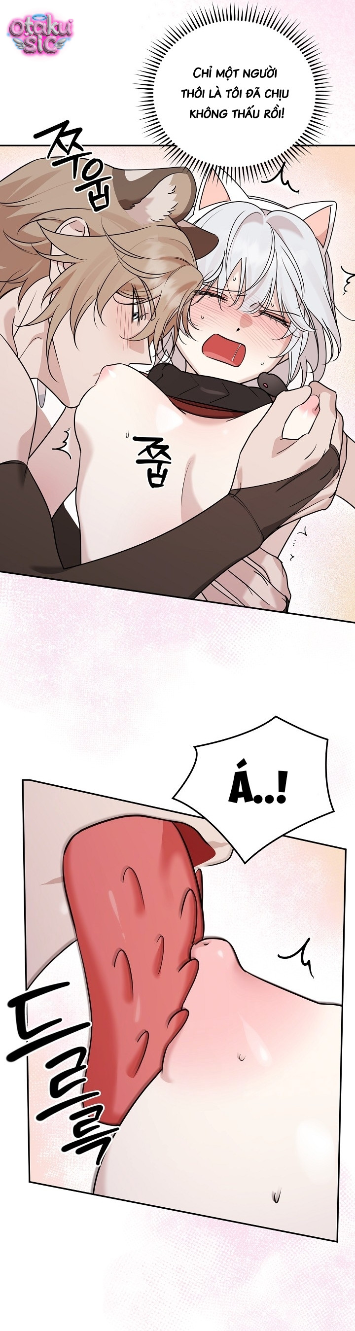 Nè Boss, Ngài Đang Phát Tình À? - Chap 20