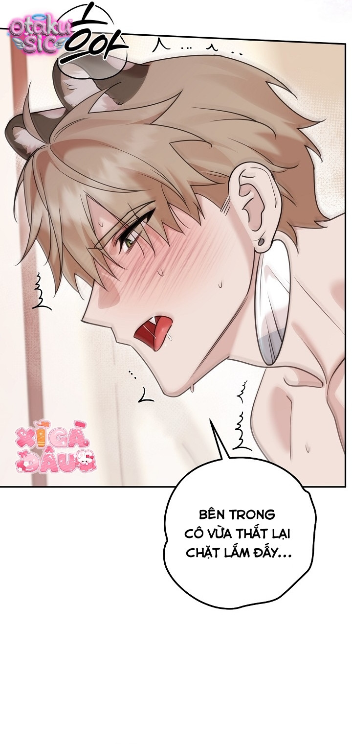 Nè Boss, Ngài Đang Phát Tình À? - Chap 20