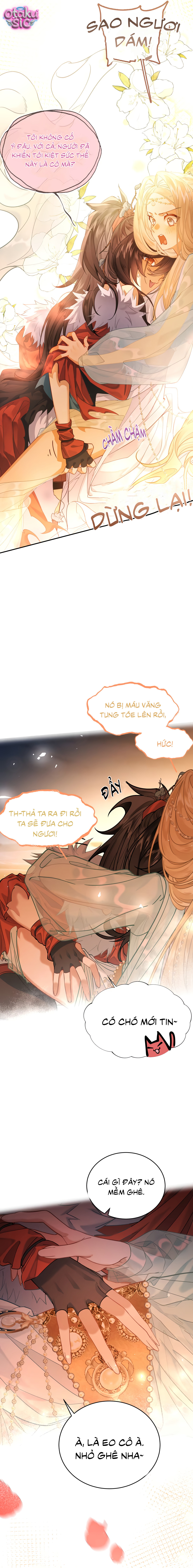 Ngã Tâm Phi Thạch - Chap 2