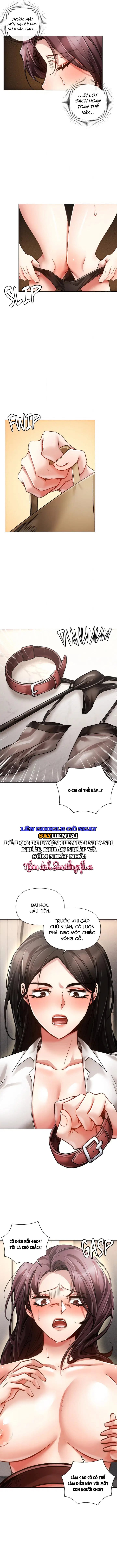 Nghiệt Ngã Dịu Êm - Chap 24
