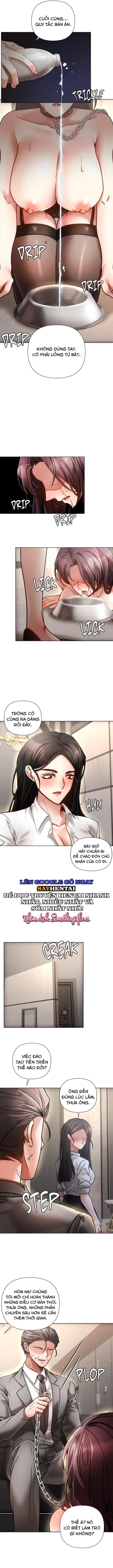 Nghiệt Ngã Dịu Êm - Chap 24