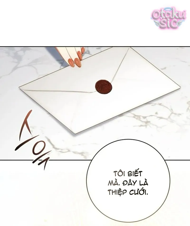 Người Chồng Bị Đánh Cắp - Chap 1 - Trang 4