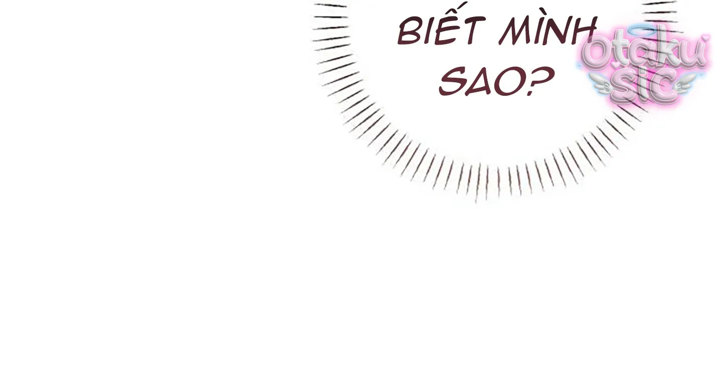 Người Chồng Bị Đánh Cắp - Chap 4 - Trang 9