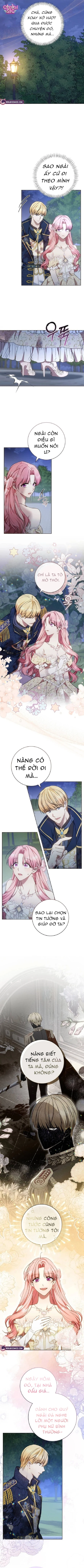 Người Chồng Bị Đánh Cắp - Chap 8 - Trang 3